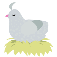 (unnamed), a mist and silver chicken with a speckle pattern