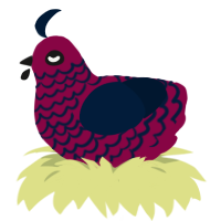 Embezzlement, a maroon and tumblr chicken with a lace pattern