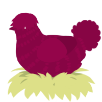 A maroon chicken with a bar pattern