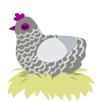 Soren, a ash and mist chicken with a lace pattern