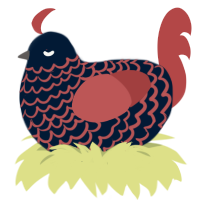 held, a tumblr and red chicken with a lace pattern