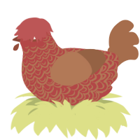 (unnamed), a red and brown chicken with a double-lace pattern