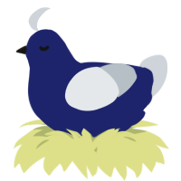 A navy and mist chicken
