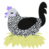 A mist and black chicken with a double-lace pattern