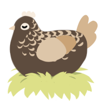 Drizzled Chocolate, a bark and beige chicken with a half-lace pattern
