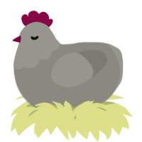 A ash chicken with a head pattern
