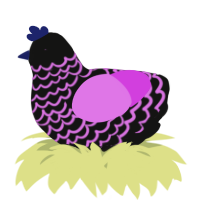 A black and orchid chicken with a lace pattern