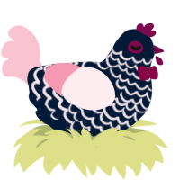 Paimon, a tumblr and rose chicken with a lace pattern
