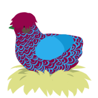 (unnamed), a maroon and sky chicken with a double-lace pattern
