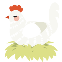 A white chicken with a bar pattern