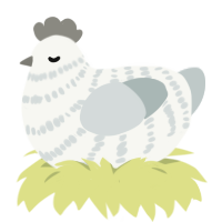 Sated, a white and silver chicken with a bar pattern