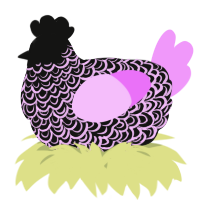 A black and lavender chicken with a double-lace pattern