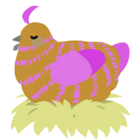 A gold and orchid chicken with a bar pattern