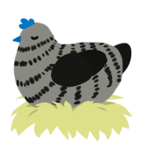 Frozty, a ash and black chicken with a bar pattern
