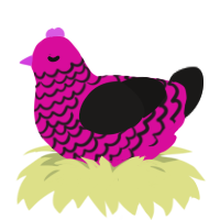 A fuchsia and sable chicken with a lace pattern