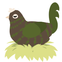 A bark and olive chicken with a bar pattern