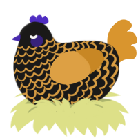 Pumkin, a sable and orange chicken with a lace pattern