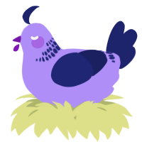 A lilac and navy chicken with a neck-band pattern