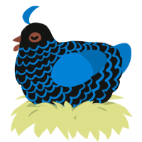 A black and sapphire chicken with a lace pattern