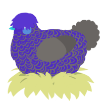 A indigo and grey chicken with a double-lace pattern
