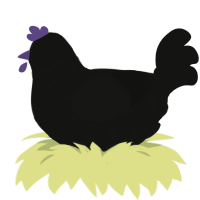 A black chicken with a bar pattern