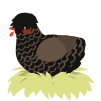 A black and bark chicken with a lace pattern