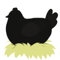 78 RPM disc, a black and sable chicken