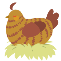 A gold and russet chicken with a bar pattern