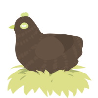 A bark chicken with a bar pattern