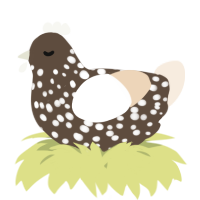 A bark and cream chicken with a speckle pattern