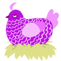 SODER, a amethyst and lavender chicken with a lace pattern