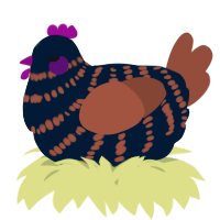 A tumblr and russet chicken with a bar pattern