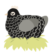 A sable and ash chicken with a lace pattern
