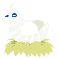 A white chicken with a bar pattern