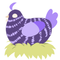 Lavender, a overcast and lilac chicken with a bar pattern