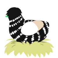A black and cream chicken with a bar pattern