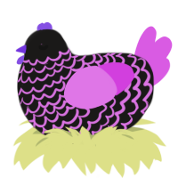 Cola gum, a sable and orchid chicken with a lace pattern
