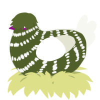 A olive and white chicken with a bar pattern