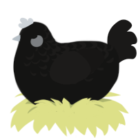 (unnamed), a black and sable chicken with a half-lace pattern