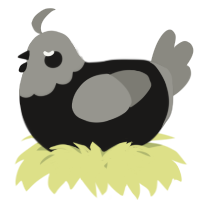 A sable and ash chicken with a head pattern