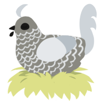 A ash and mist chicken with a lace pattern