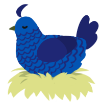 (unnamed), a ultramarine and navy chicken with a lace pattern