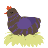 A bark and overcast chicken with a bar pattern