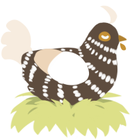 A bark and cream chicken with a bar pattern