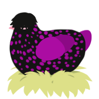A black and plum chicken with a speckle pattern