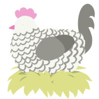 A white and ash chicken with a lace pattern