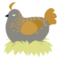 Super Sonic Racing, a ash and gold chicken with a half-lace pattern