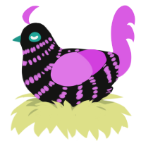 Socks, a black and orchid chicken with a bar pattern