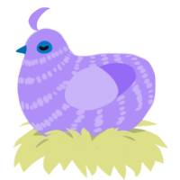 bett, a lilac chicken with a bar pattern