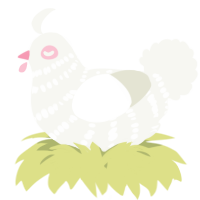 A white chicken with a bar pattern